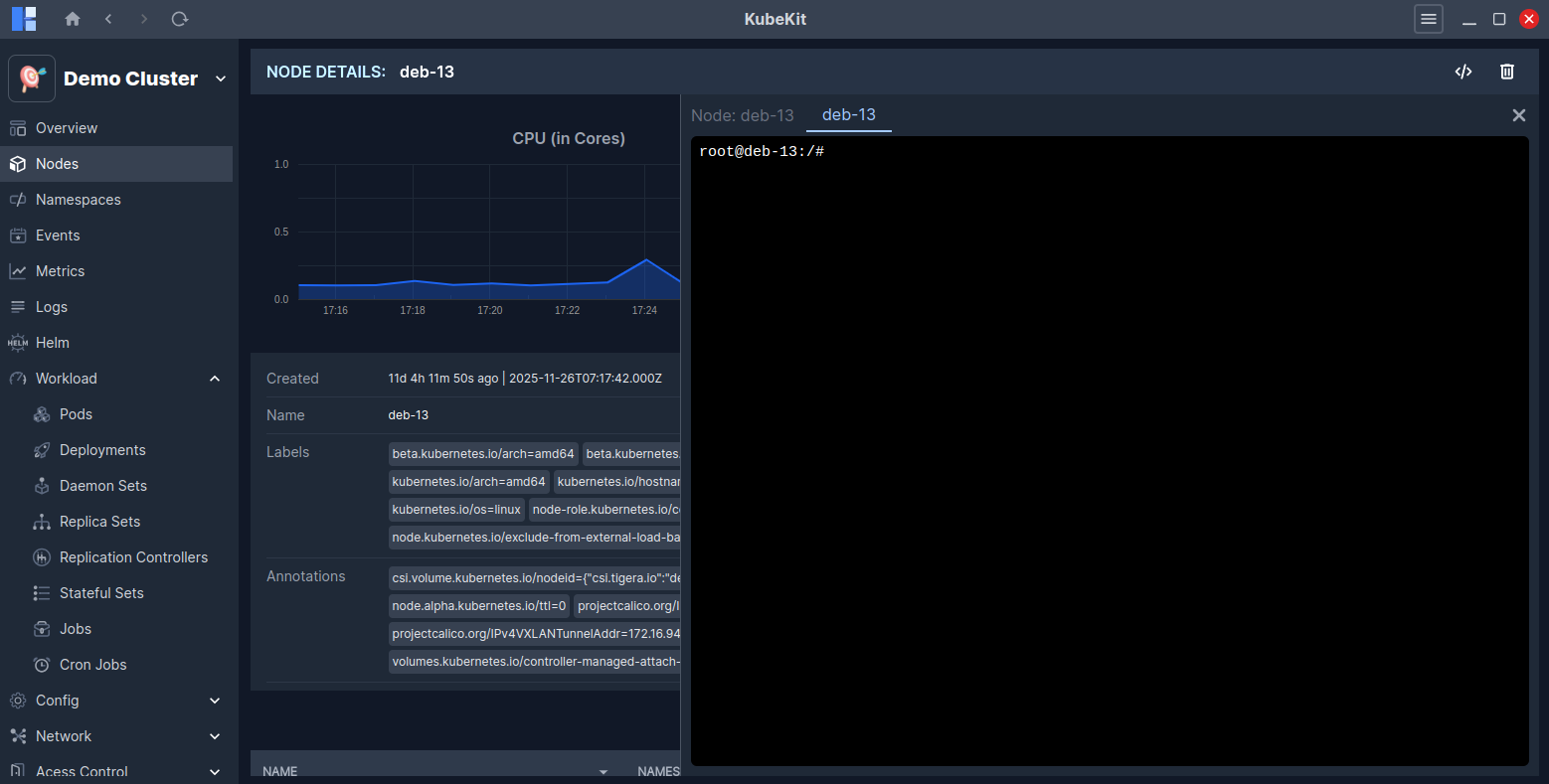 Node Terminal Details