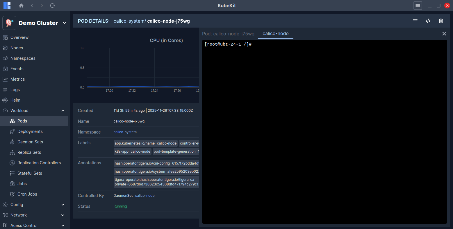 Pod Terminal Details
